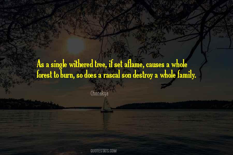 Quotes About Rascal #871680