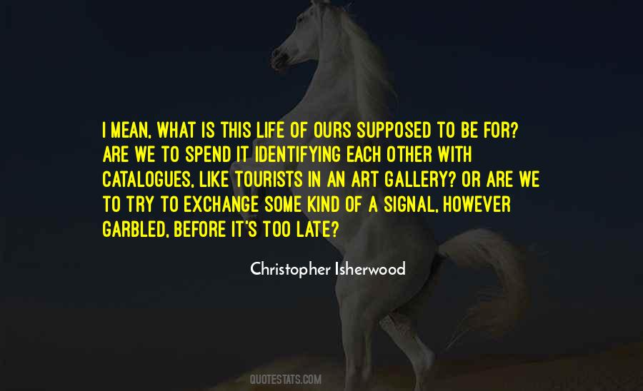 Structured Serendipity Myth Quotes #1602627