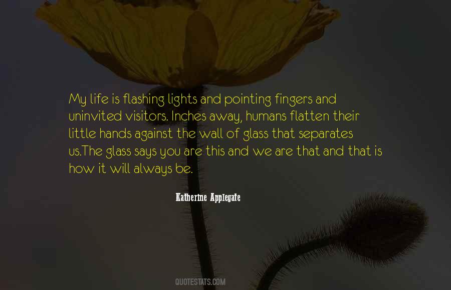 Quotes About Pointing Fingers At Others #866215