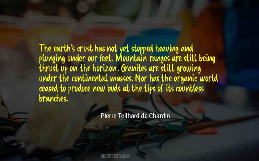 World At Your Feet Quotes #118922