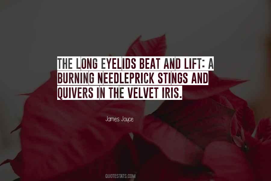 Quotes About Eyelids #420963