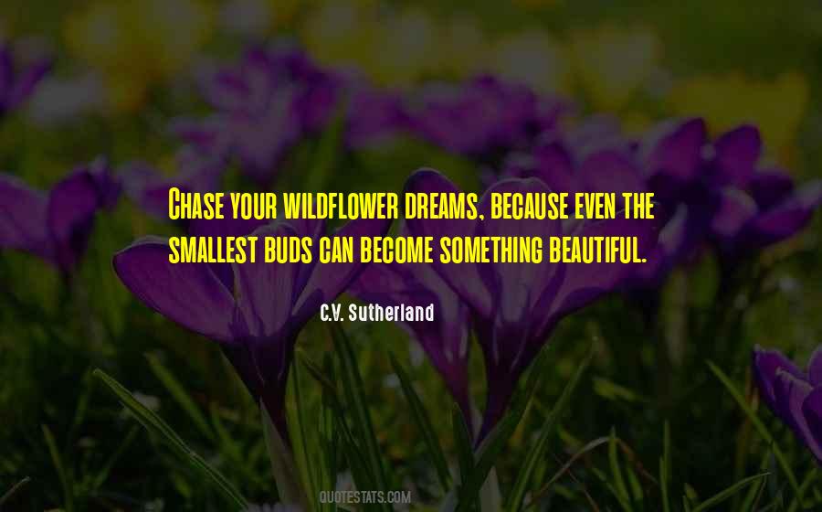 Quotes About Chase The Dreams #1127029