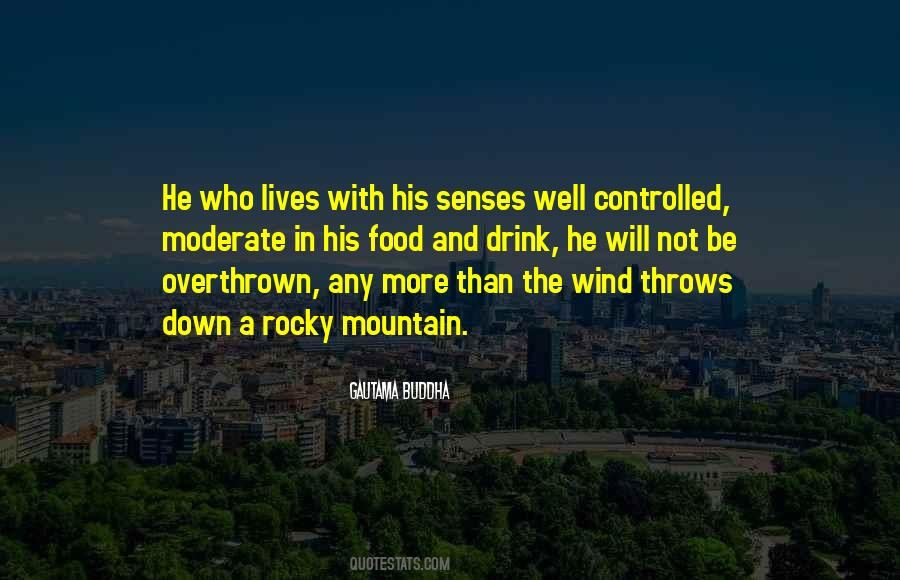 Quotes About The Wind #1759058