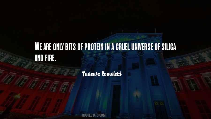 Quotes About Protein #1217934