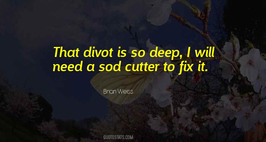 Quotes About Cutters #48631