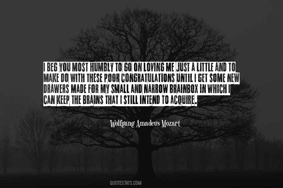 Quotes About Small Brains #1006590