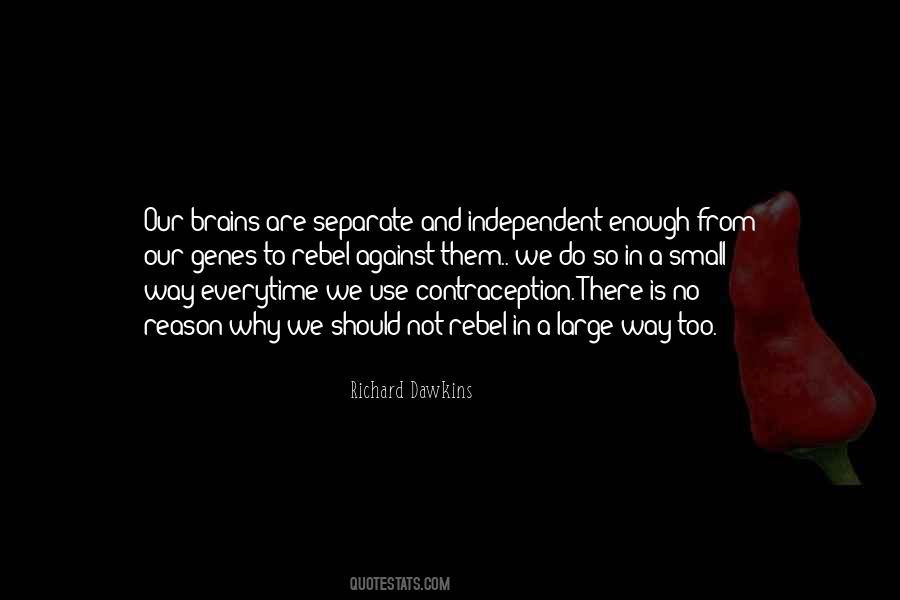 Quotes About Small Brains #1278066