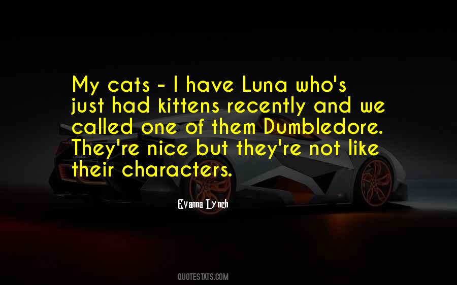 Quotes About Kittens #101218