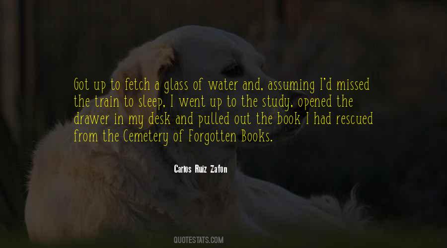 Quotes About Glass Of Water #1043796