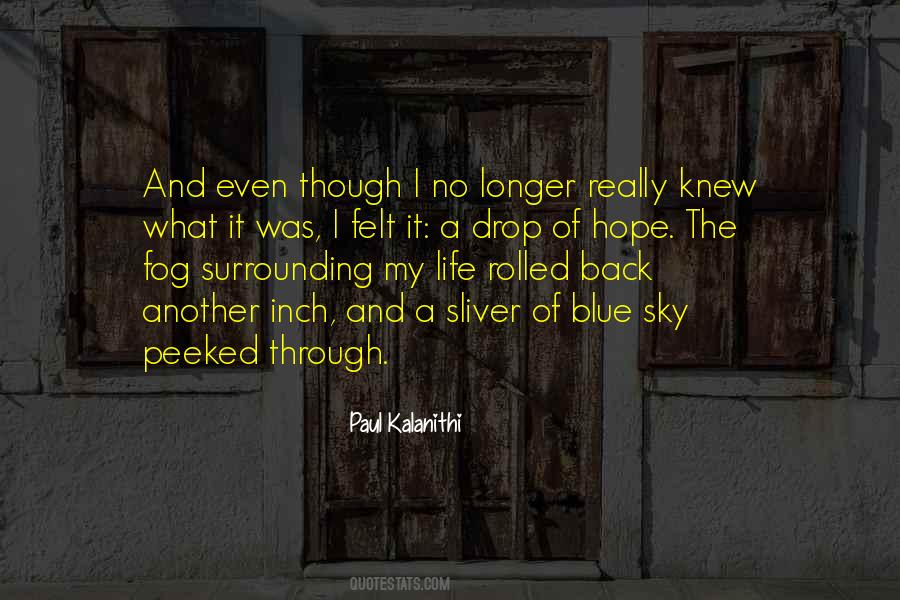 Under The Blue Sky Quotes #137285