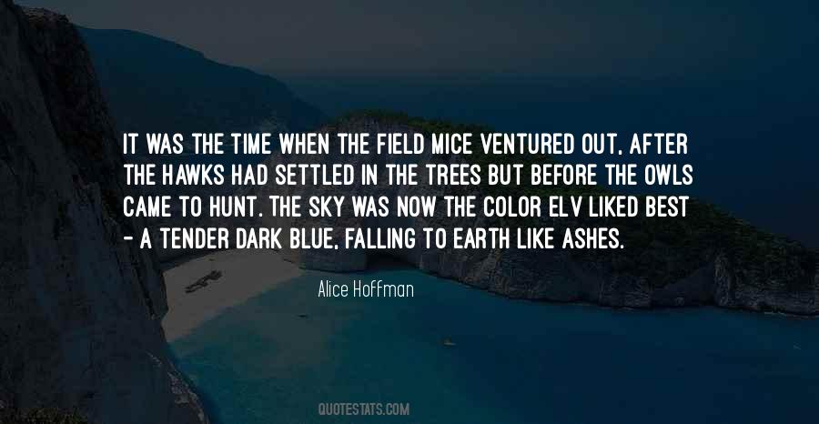 Under The Blue Sky Quotes #40826
