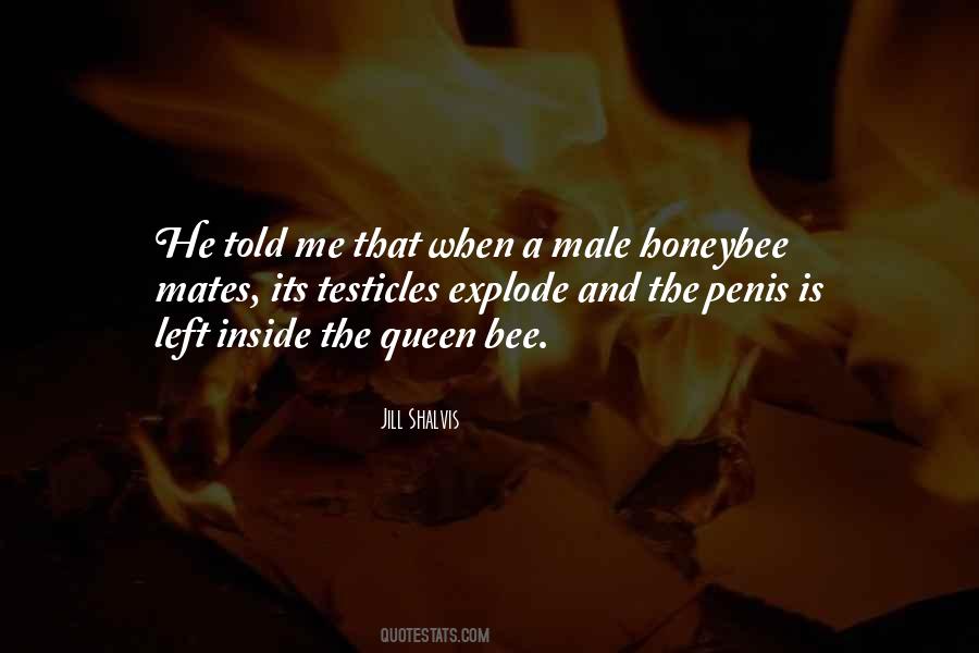 Quotes About Testicles #729830