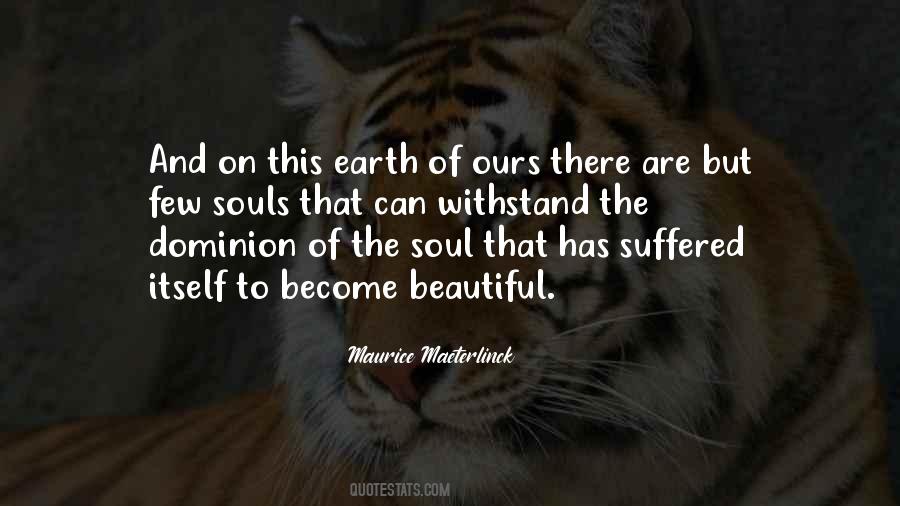 Quotes About Beautiful Souls #465462