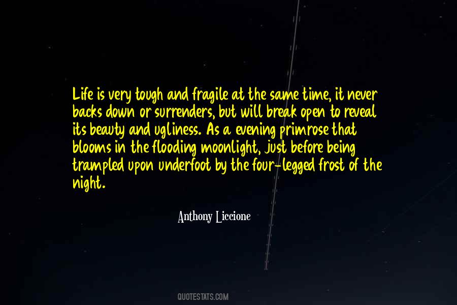 Ugliness Of Life Quotes #1319746