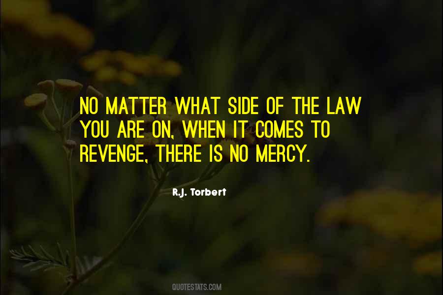 Quotes About Spirit Of Law #1290246