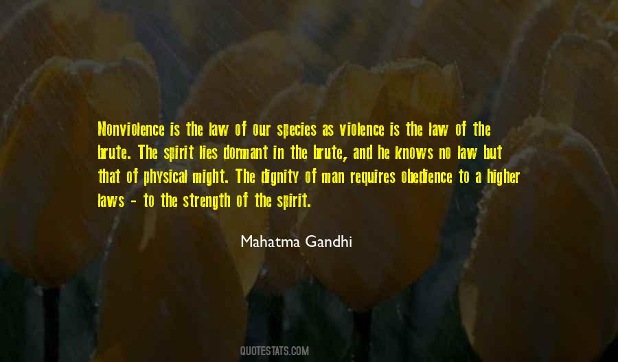 Quotes About Spirit Of Law #379472