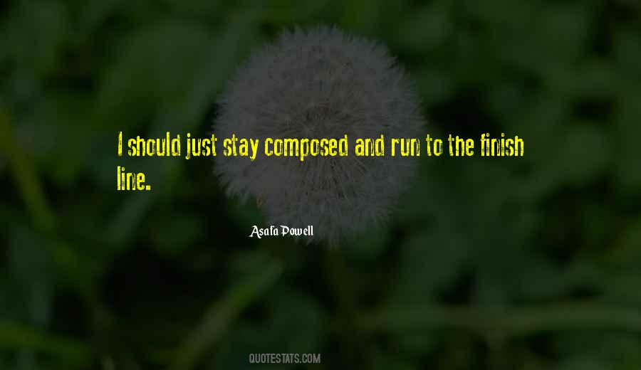 Quotes About Almost To The Finish Line #20584