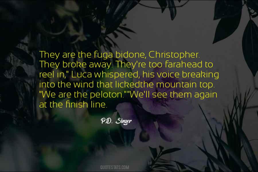 Quotes About Almost To The Finish Line #751314