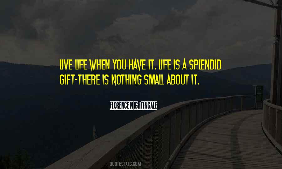 Quotes About Life Is A Gift #72756