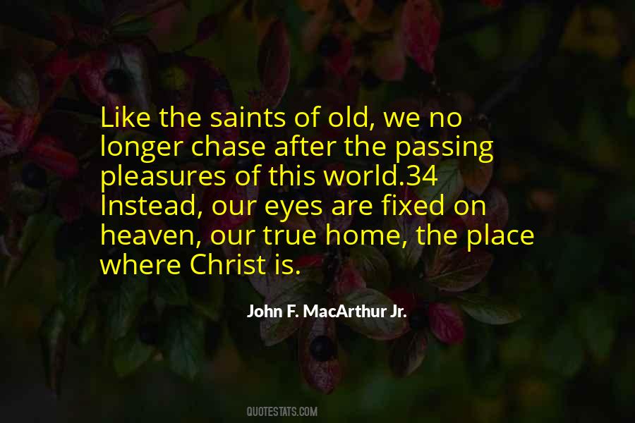 Passing Pleasures Quotes #703043