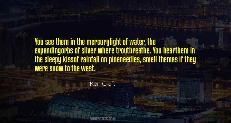 Quotes About Rainfall #1166818