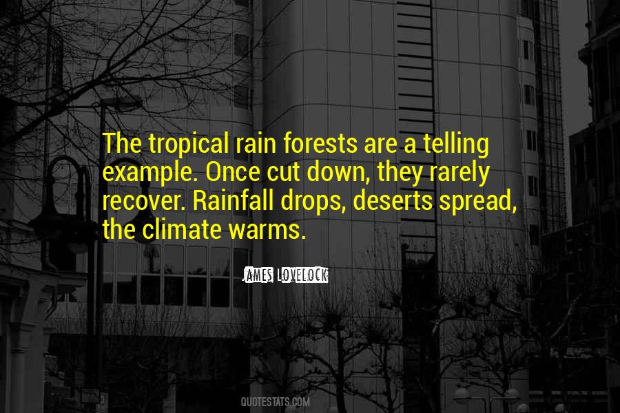 Quotes About Rainfall #905566