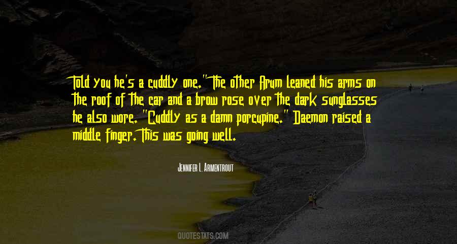 Quotes About Middle Finger #1816936