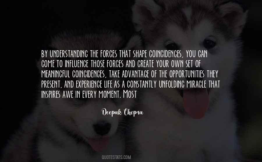 Quotes About Coincidences #1552835