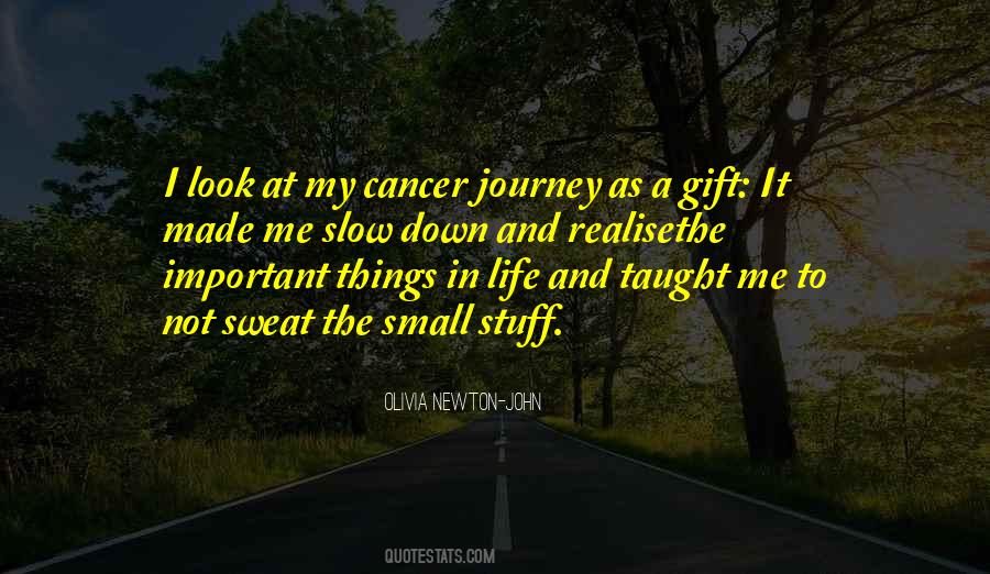 Cancer Journey Quotes #138250