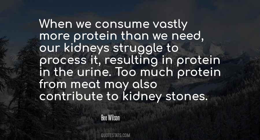 Quotes About Kidney Stones #1671430