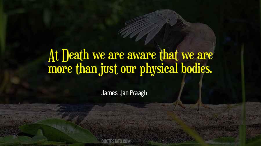 Quotes About Bodies #1738811