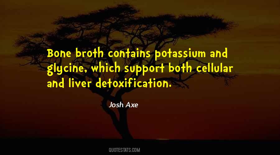 Quotes About Bone Broth #1761273
