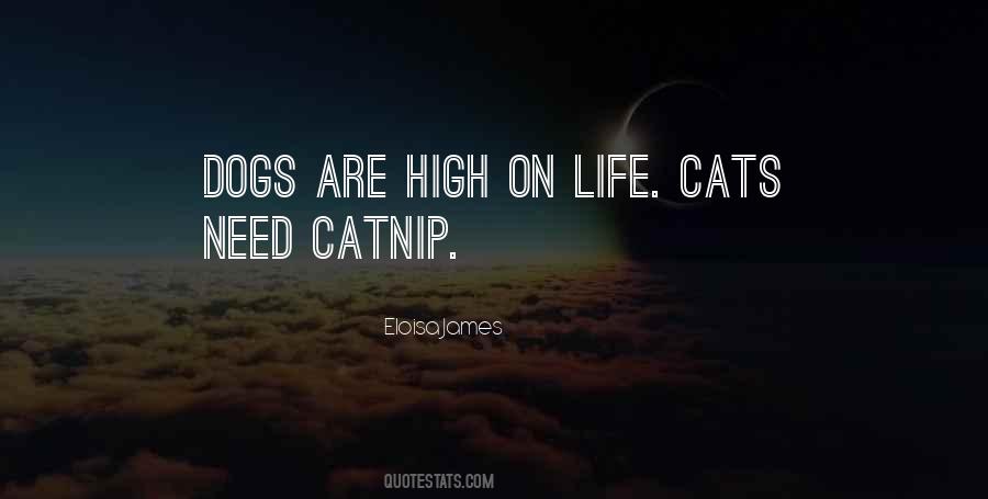Quotes About Catnip #1207795