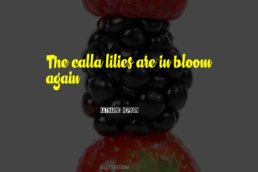 Quotes About Calla Lilies #409253