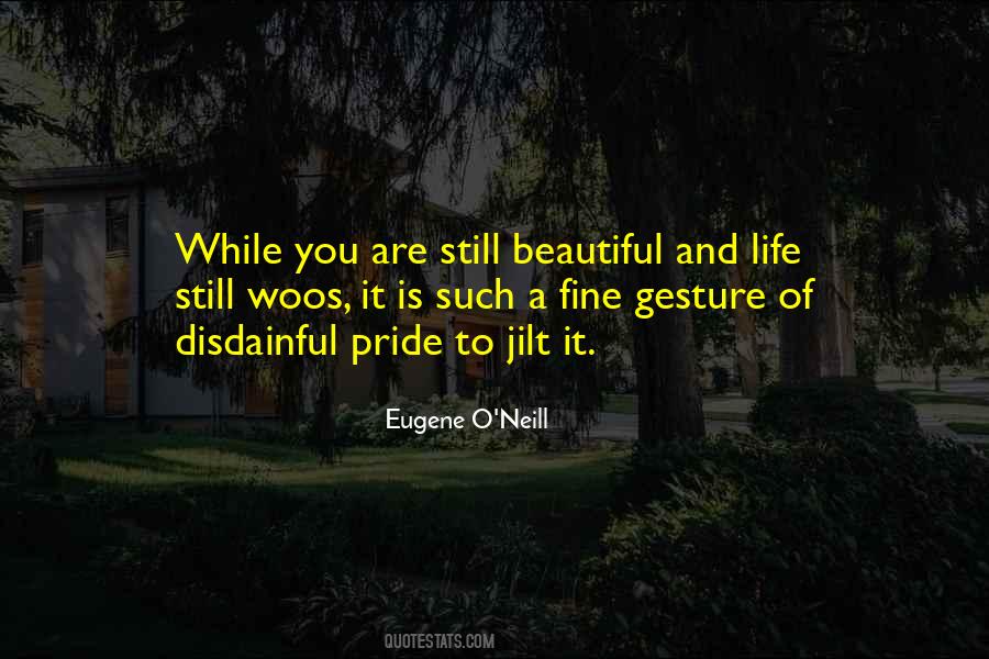 Quotes About Vanity And Pride #1624684