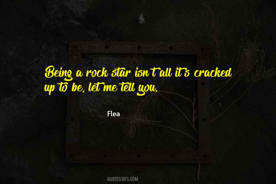 Being Cracked Quotes #1399527