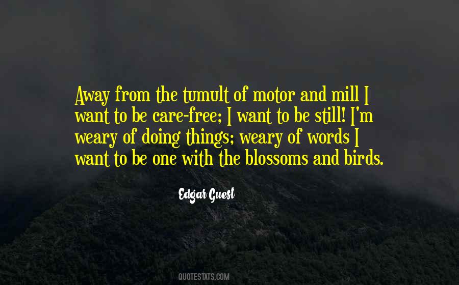 Quotes About Birds And Nature #634991 Quotes About Birds And Nature #634991