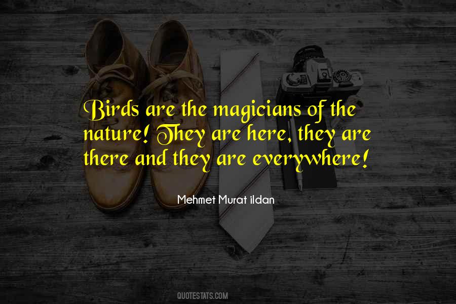 Quotes About Birds And Nature #861943