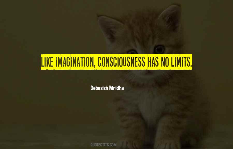 Limits Of Your Imagination Quotes #284567