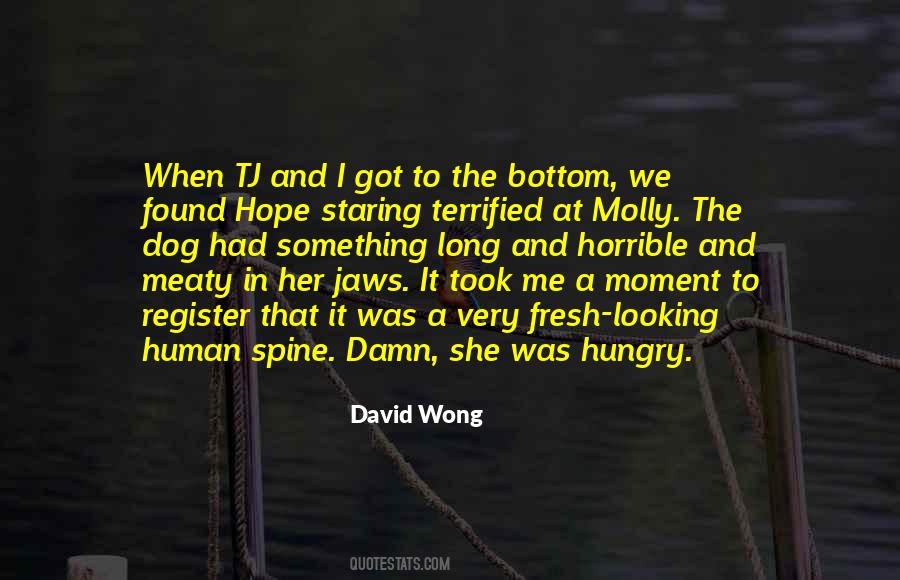 Looking For What Is Out There Quotes #75