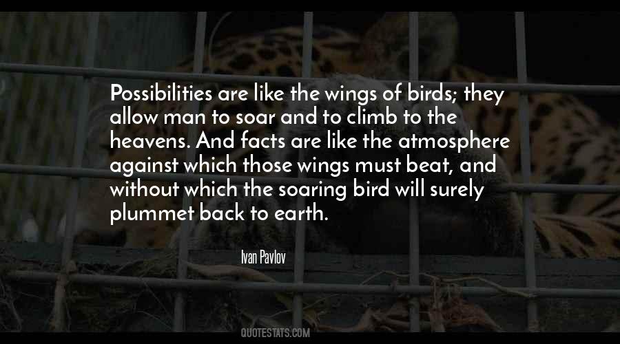Quotes About Birds Soaring #339671