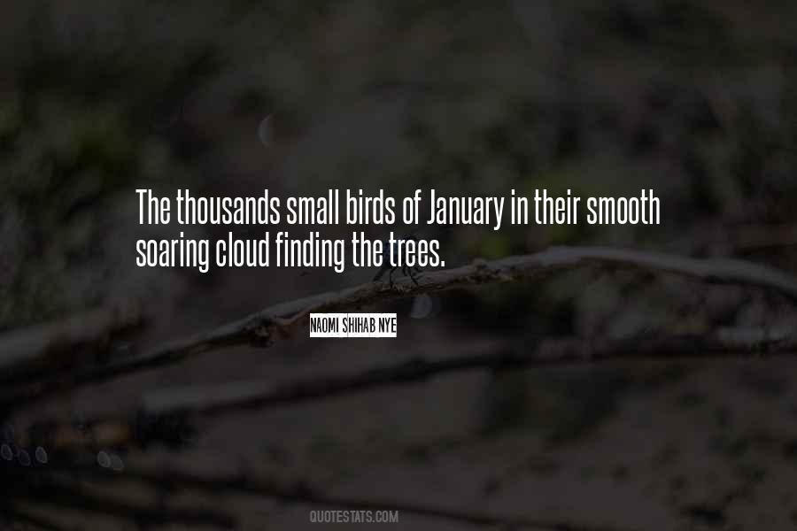 Quotes About Birds Soaring #612345