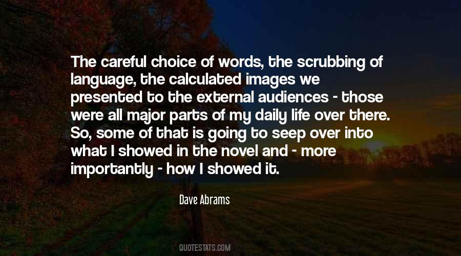 Quotes About Choice Of Words #384687