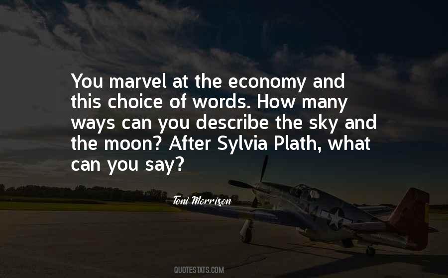 Quotes About Choice Of Words #541051