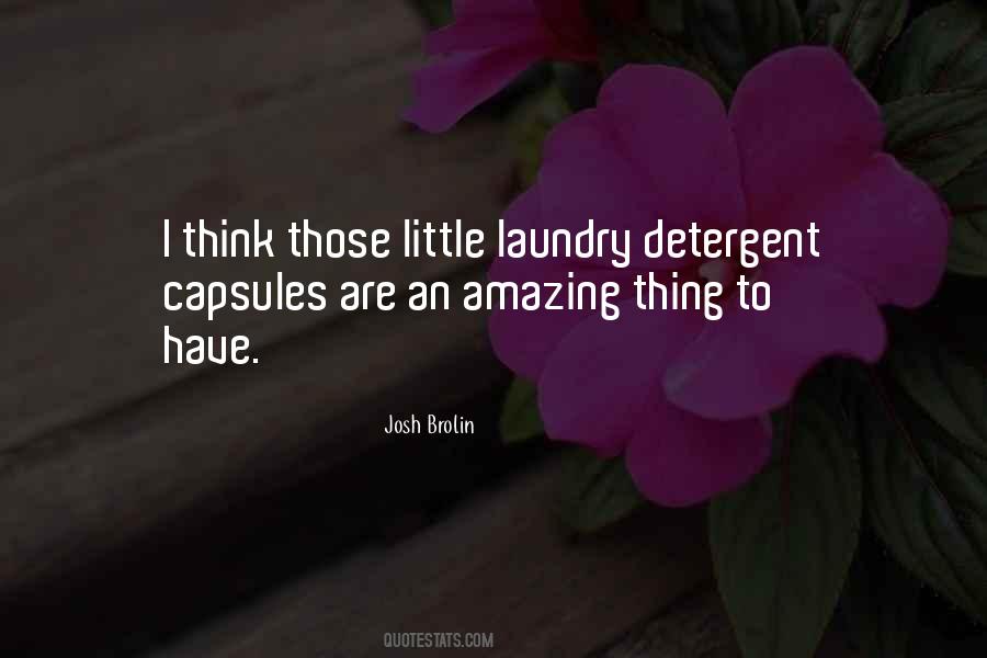 Quotes About Laundry Detergent #1118409