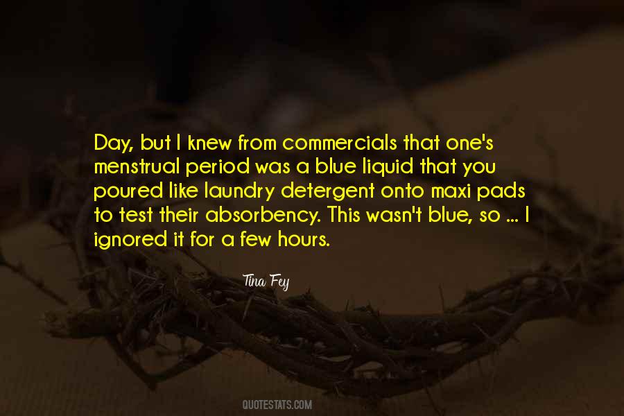 Quotes About Laundry Detergent #984628