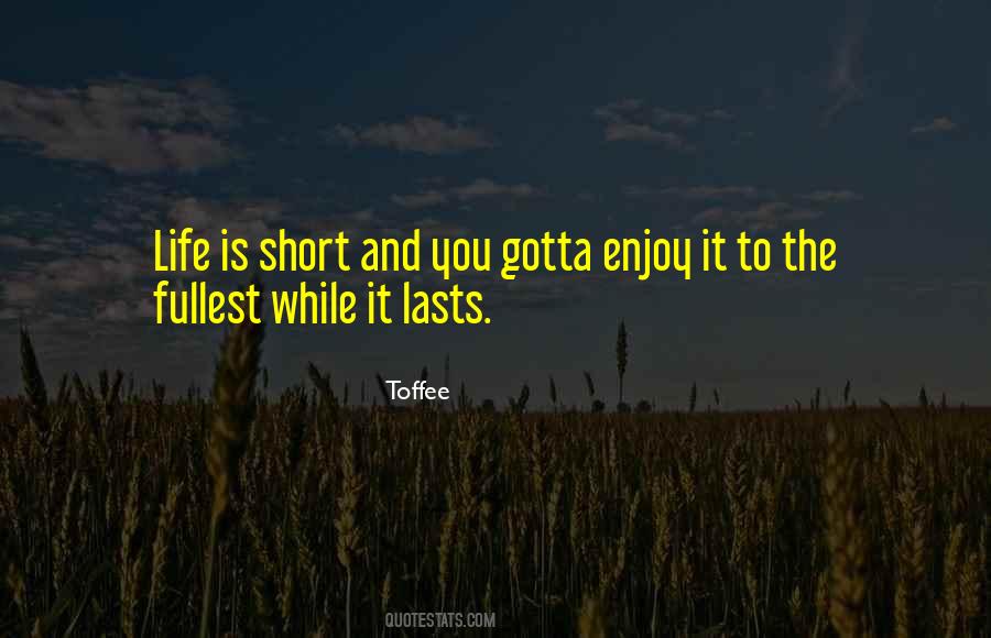Quotes About Enjoy It While It Lasts #442429