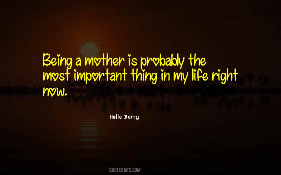 Quotes About Being A Mother #1528826