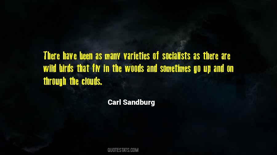 Quotes About Socialists #1218471