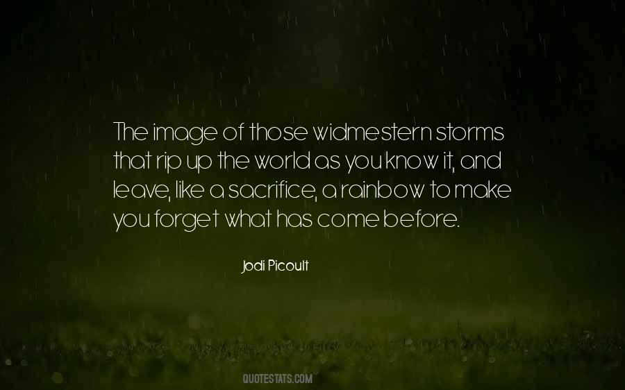 Quotes About Rainbow And Life #236583